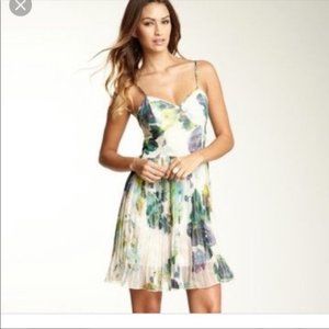 Jack Monique Watercolor Floral Pleated Dress